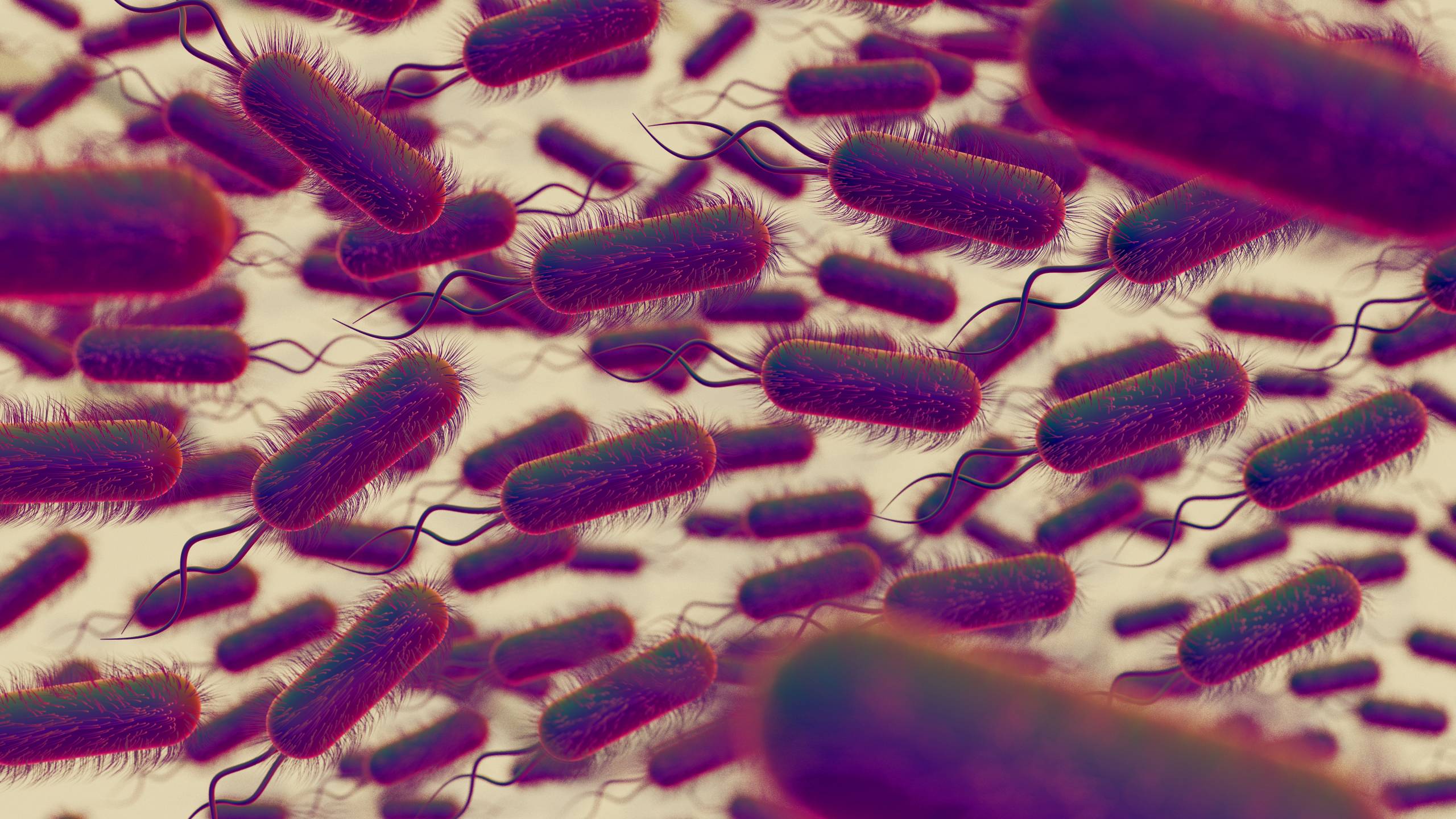 Testes respiratórios de pesquisa da Helicobacter Pylori